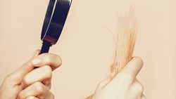Des polluants à s’arracher les cheveux!