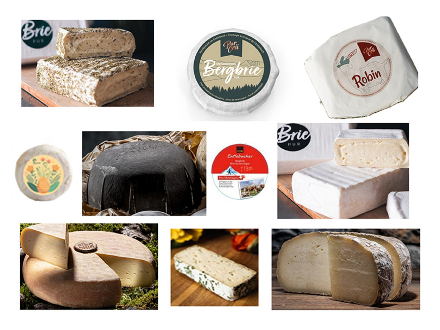 Mise en garde publique : des salmonelles dans divers fromages à pâte molle