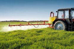 Moins de contamination dans les aliments bio
