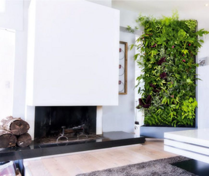 Les plantes font le mur