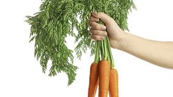 Mêmes légumes à prix différents
