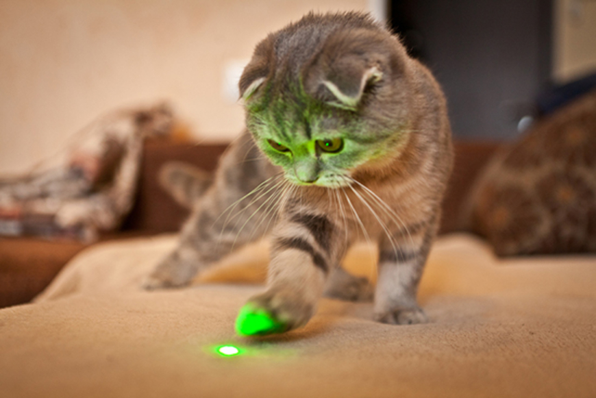 Des pointeurs laser illégaux vendus comme «jouets»