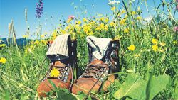 Chaussures et pieds au sec