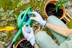 Les pesticides ne sont pas déclarés