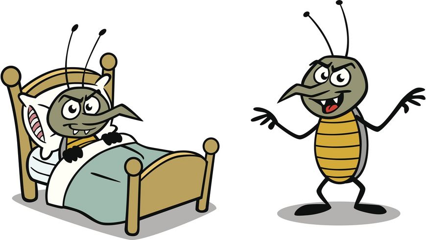 Punaise, mon lit est infesté!