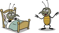 Punaise, mon lit est infesté!