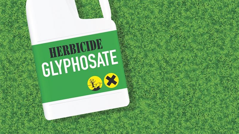 Glyphosate