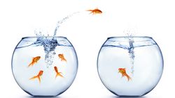 Retraite: transfert entre deux piliers