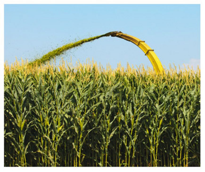 OGM et aliments