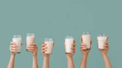 Lait de vache, de chèvre ou de brebis, lequel choisir?