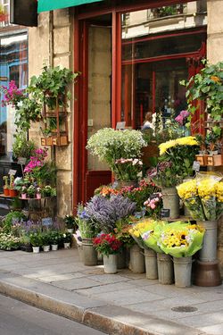 Les fleurs suisses existent, mais il faut bien les chercher