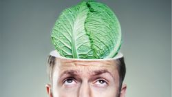 En 2018, je nourris mon cerveau