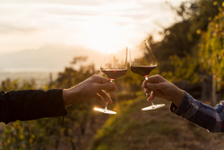 Trois séduisants merlots romands
