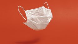 A vos masques, prêts, portez!