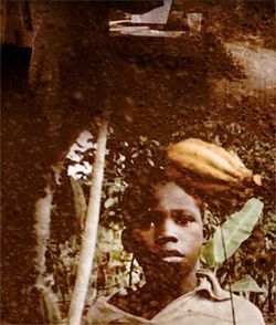Nestlé et les enfants esclaves