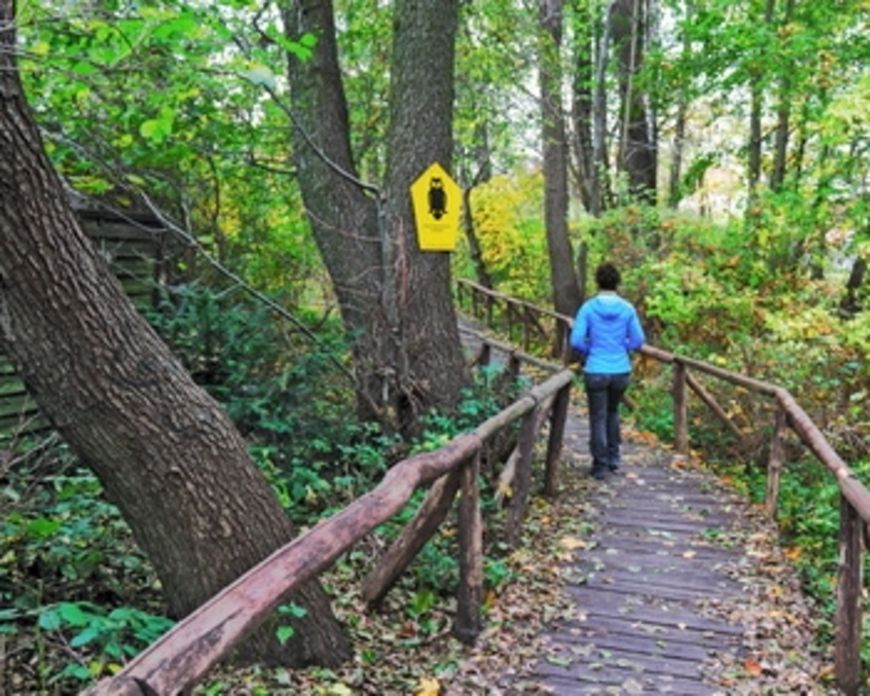 Promenons nous dans les bois