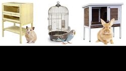 Les brochures d’infos indispensables pour la détention de petits animaux