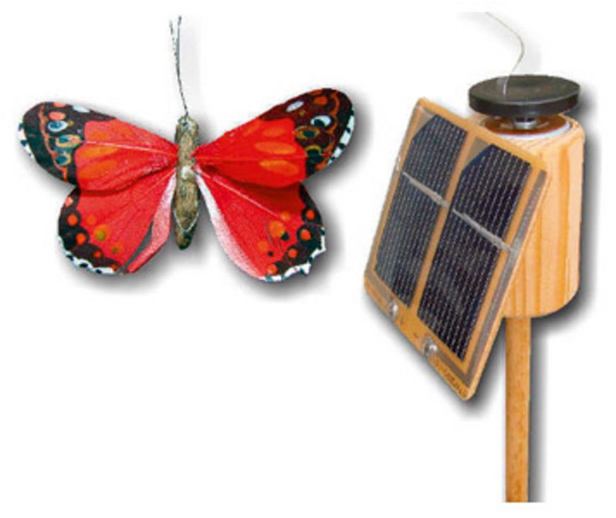 Un papillon solaire