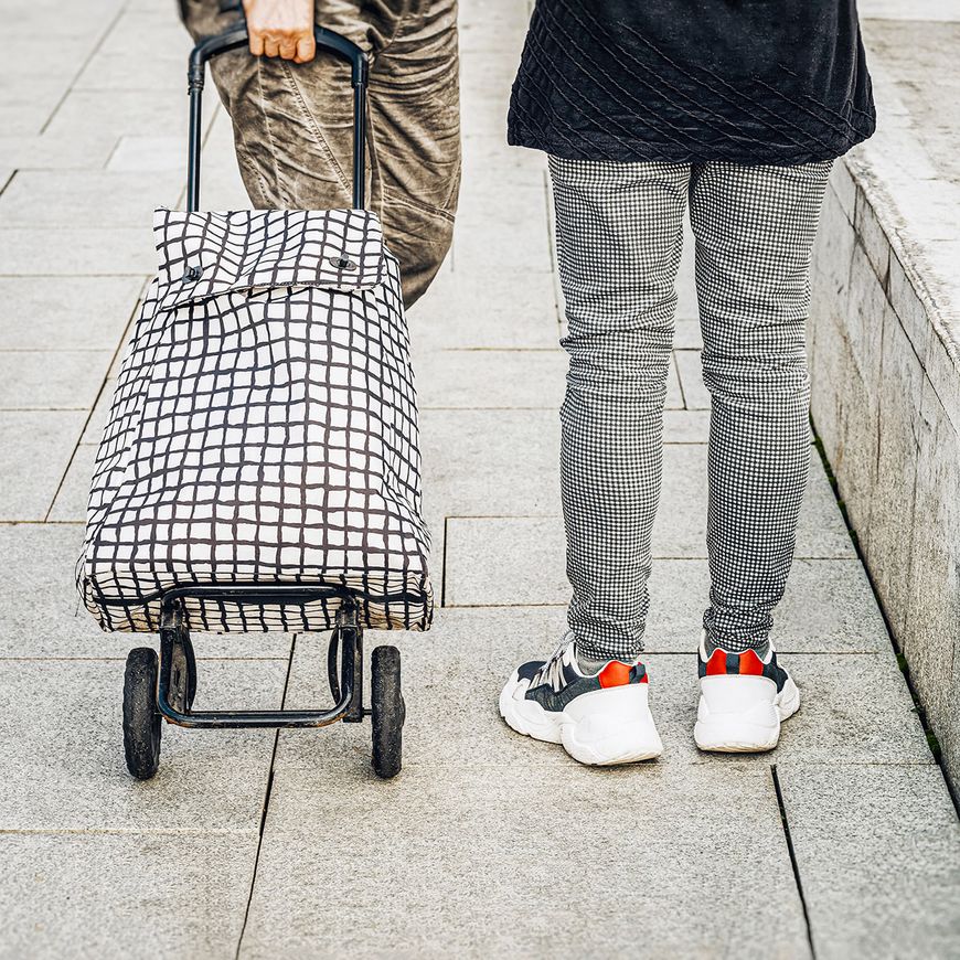 Un caddie robuste à partir de 25 francs