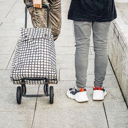Un caddie robuste à partir de 25 francs