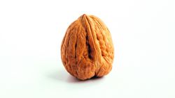 Attention au coup de chaud 