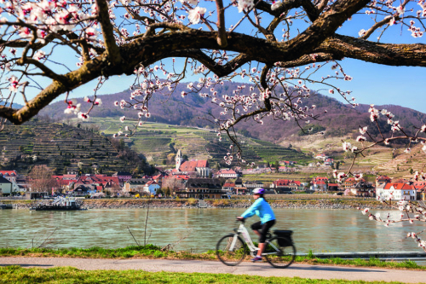 Pédaler au fil du Danube