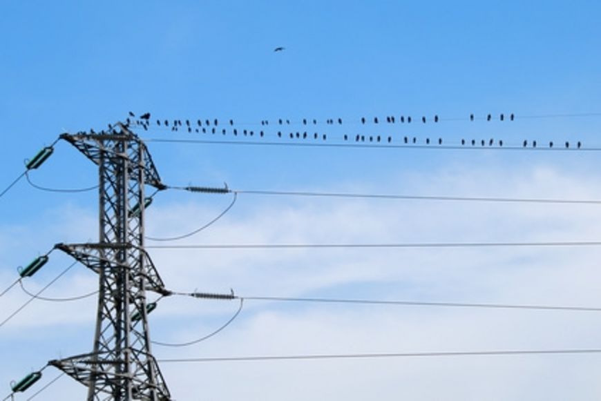 Tarifs de l’électricité stables en 2016