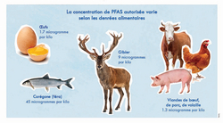 Les autorités minimisent les risques des PFAS