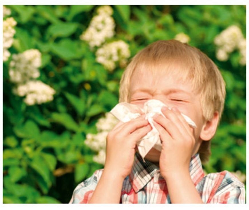 Les allergies sous la loupe