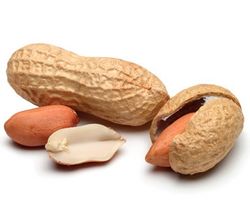 Des cacahuètes contre les allergies